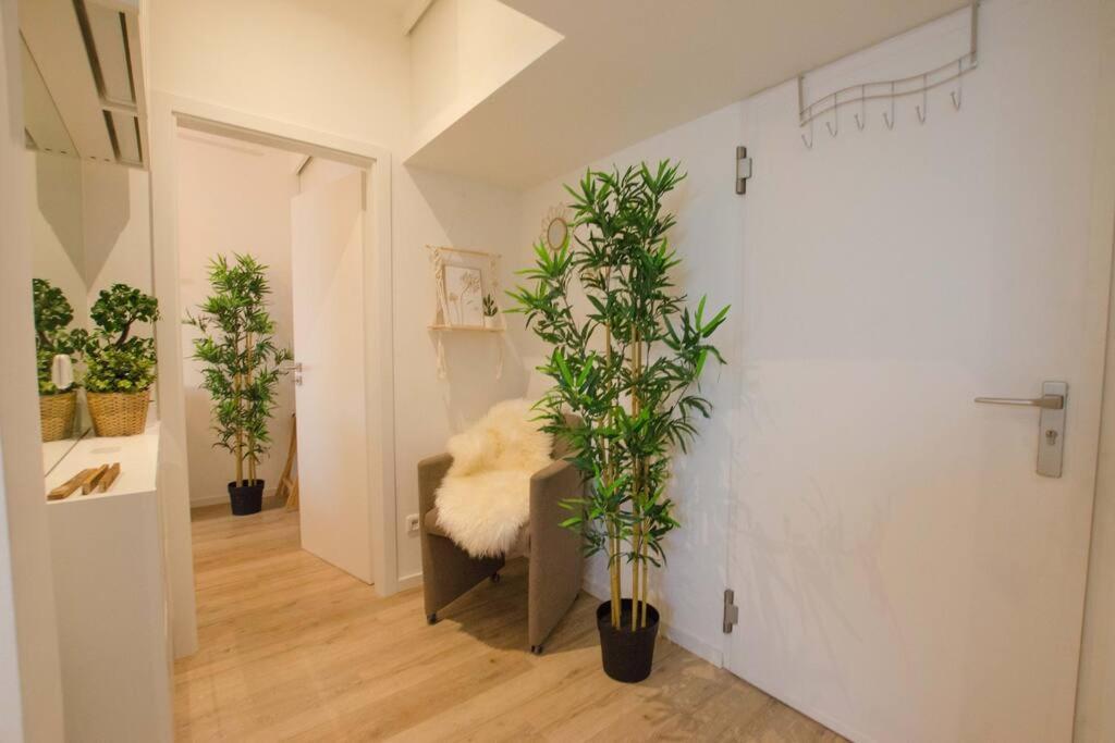 Casarina - Gemuetliches Apartment Im Zentrum Augsburg Exterior foto