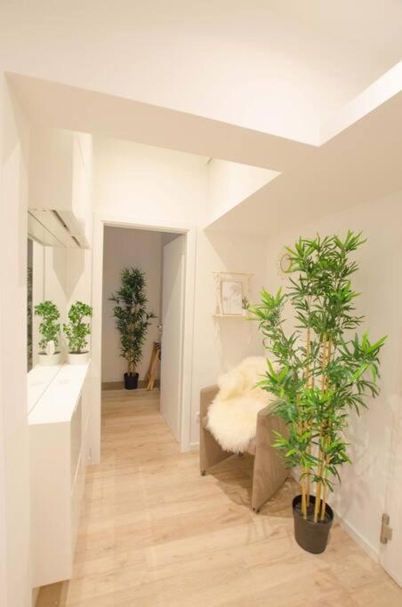 Casarina - Gemuetliches Apartment Im Zentrum Augsburg Exterior foto
